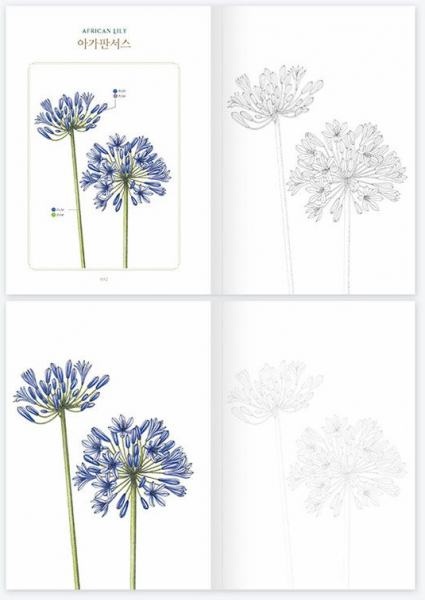 Botanical Artist's Flower Coloring Book
