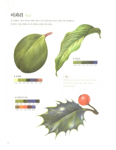 Botanical Art Coloring Book