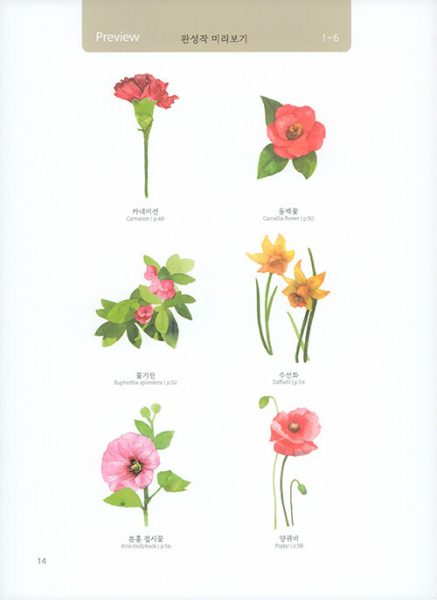 Flowers blooming in watercolor. A guide and a coloring book in one