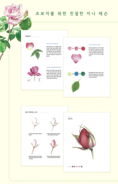 Garden of Roses. Easy Botanical Art Coloring Book
