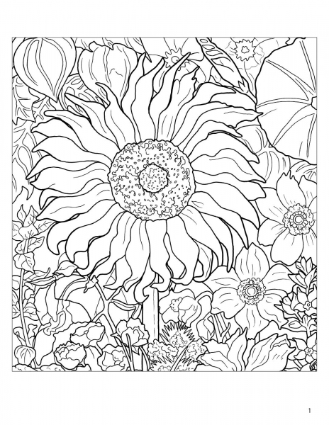 Rosalind Wise Flower Cycle Coloring Book