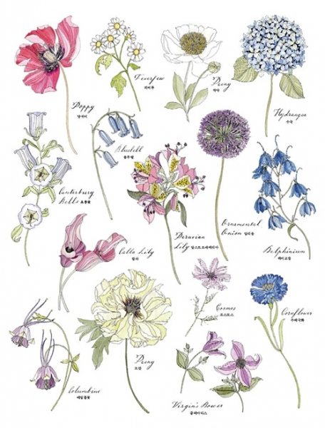 Floribunda: A Flower Coloring Book. Wydanie koreańskie