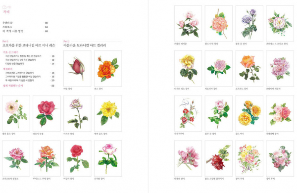 Garden of Roses. Easy Botanical Art Coloring Book