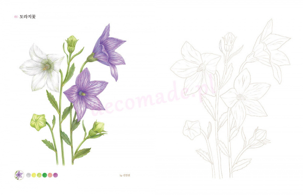 Wildflowers. Easy Botanical Art Coloring Book