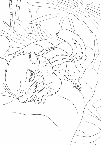 Bebes animaux: 60 coloriages anti-stress
