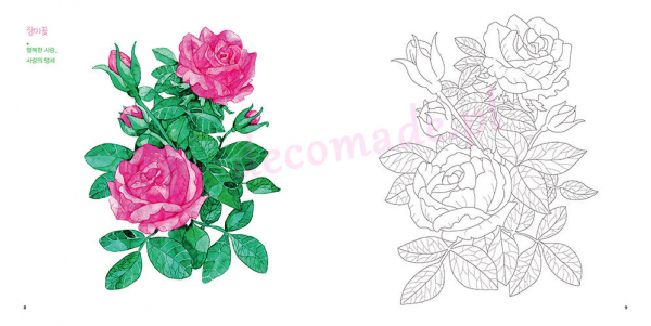 Flower coloring trip to dream and draw happiness