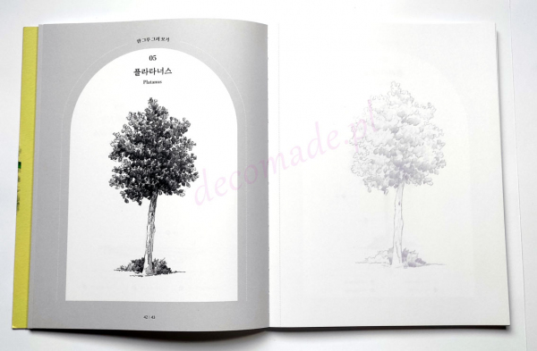 Tree Landscape Coloring Book